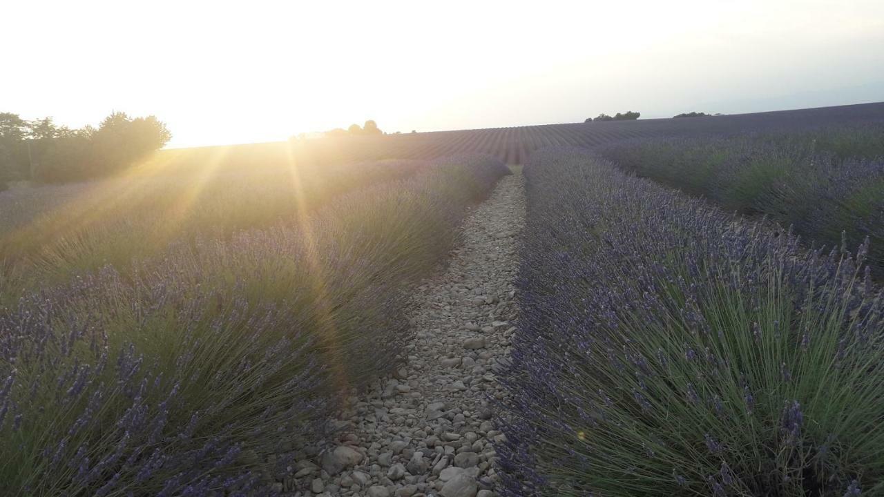 Le Mas Du Colombier Cadenet Exterior foto
